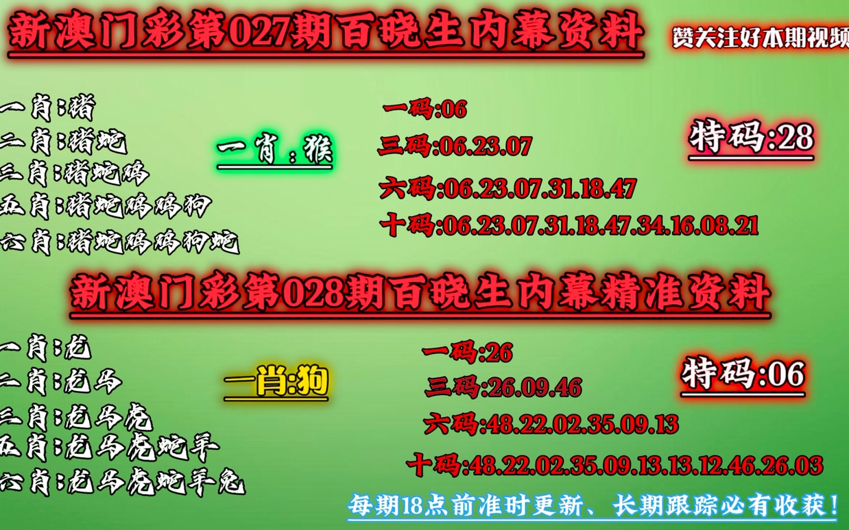 澳门精准一码投注攻略,精选解释解析落实