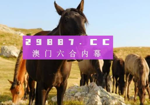 澳门管家婆精淮一肖一码,精选资料解析大全