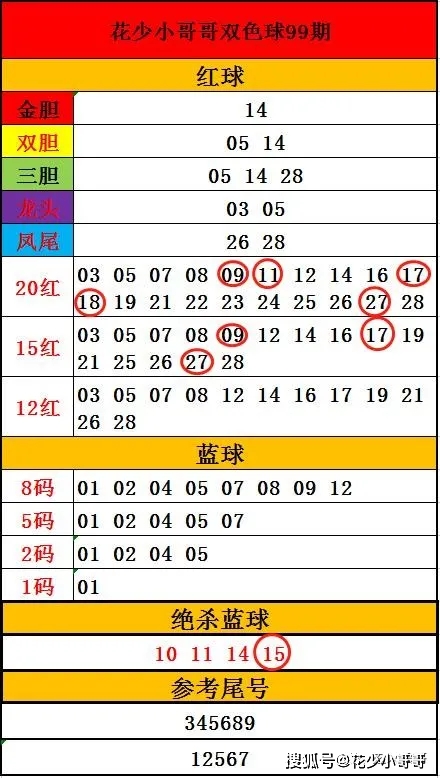 2024年新澳门今晚开奖结果2024年,精选解释解析落实