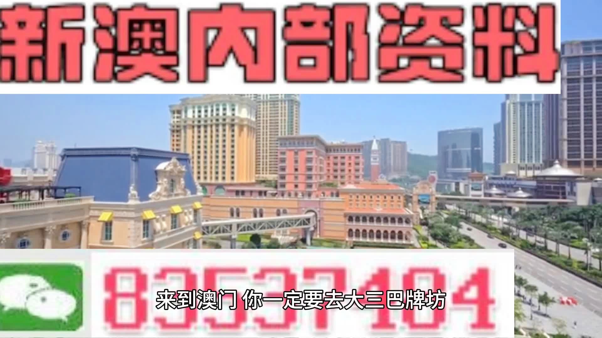 2024新澳一码一特,精选资料解析大全