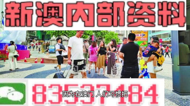 2024新澳精准资料免费提供下载|最佳精选解释落实