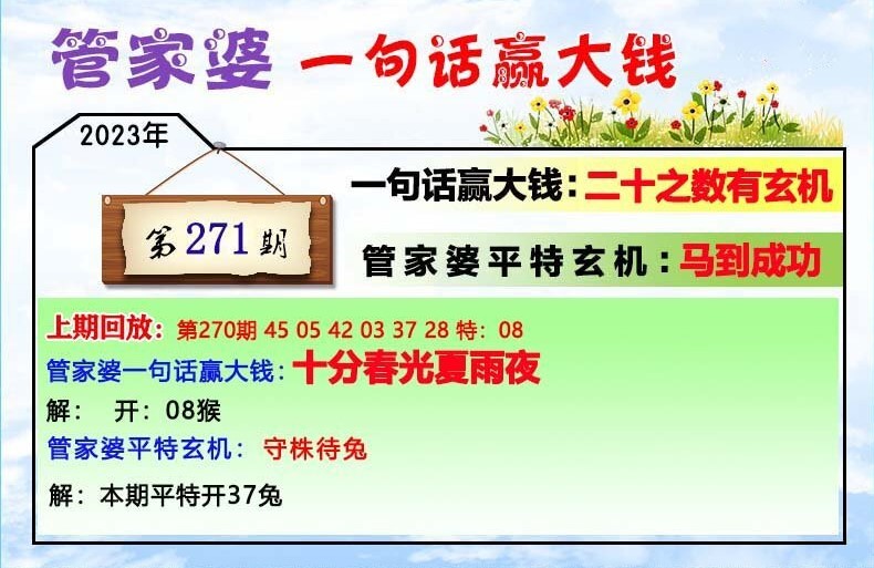 202管家婆一肖一码,最佳精选解释落实