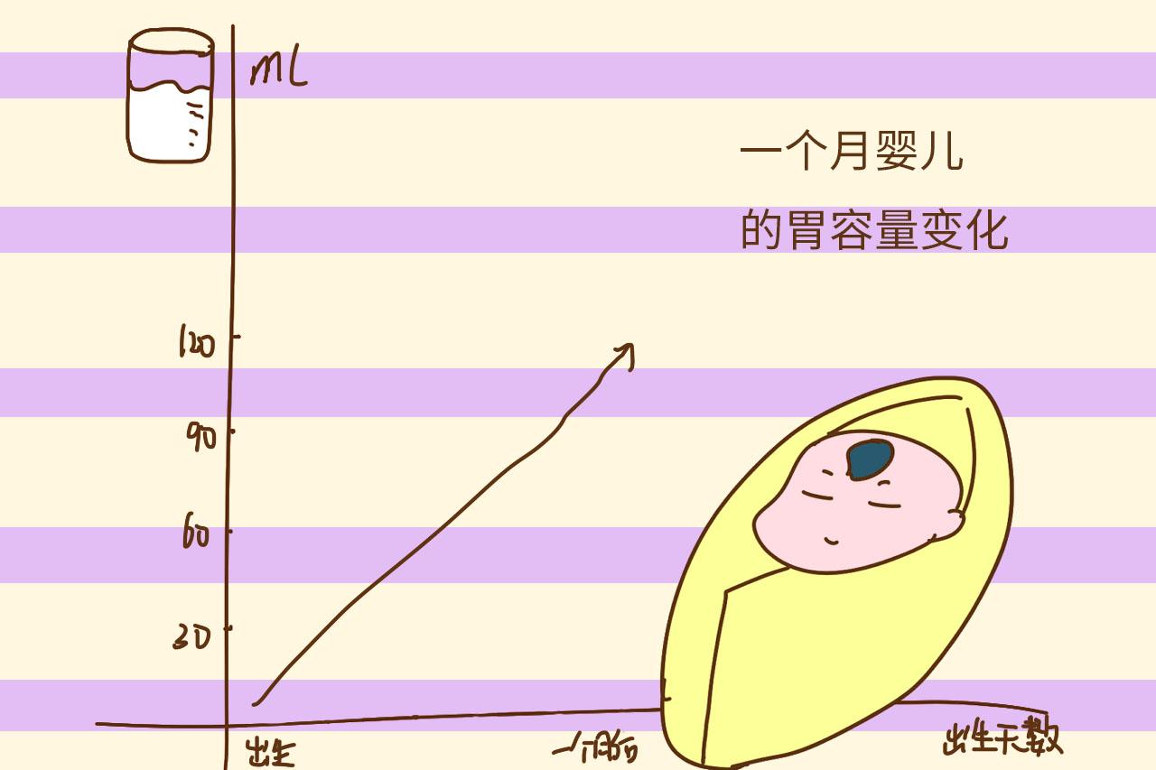 七个月宝宝胃容量发展及其相关影响