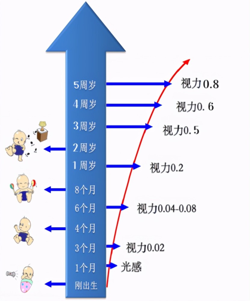 揭秘六个月宝宝视力发育，究竟能看清多远？