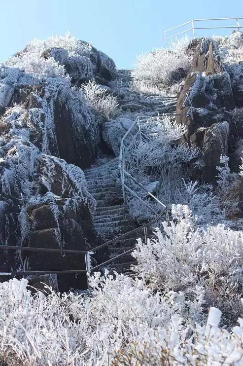 下雪了怎么去广东省，一场冬日旅行的攻略与体验