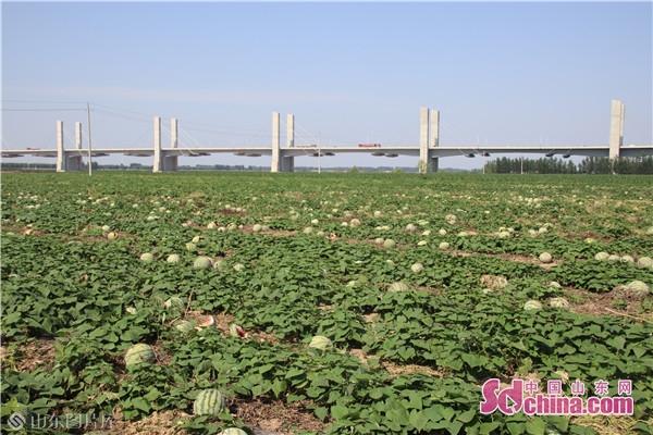 菏泽华阳房产租房信息详解