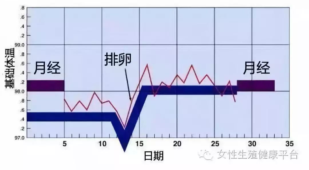 关于怀孕周期与月份转换，怀孕27周4天相当于几个月的探讨