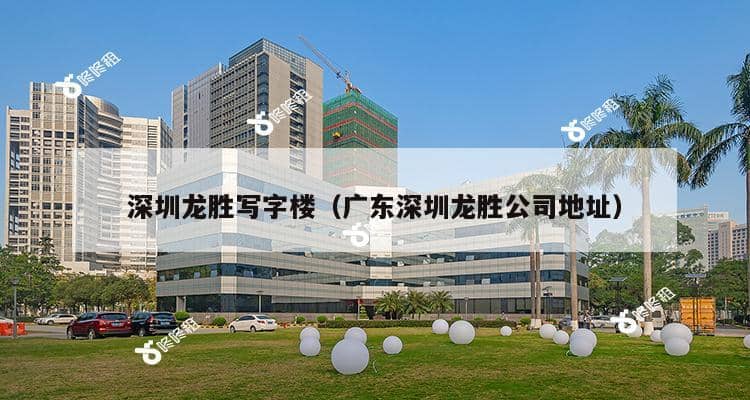 广东省深圳市吉龙公司的崛起与未来展望